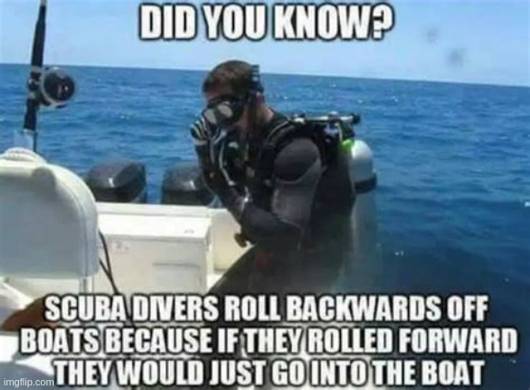 wow i didnt know this | image tagged in oip-2250572791 jpg,fun fact | made w/ Imgflip meme maker