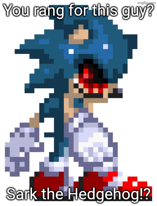 You rang for this guy? Sark the Hedgehog!? | made w/ Imgflip meme maker
