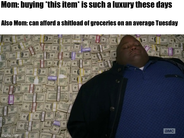 So expensive you can afford it | Mom: buying *this item* is such a luxury these days; Also Mom: can afford a shitload of groceries on an average Tuesday | image tagged in money,irony,rich | made w/ Imgflip meme maker