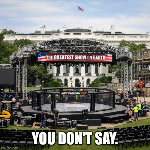 UFC Freedom 250 | You don't say. | image tagged in ufc freedom 250 | made w/ Imgflip meme maker