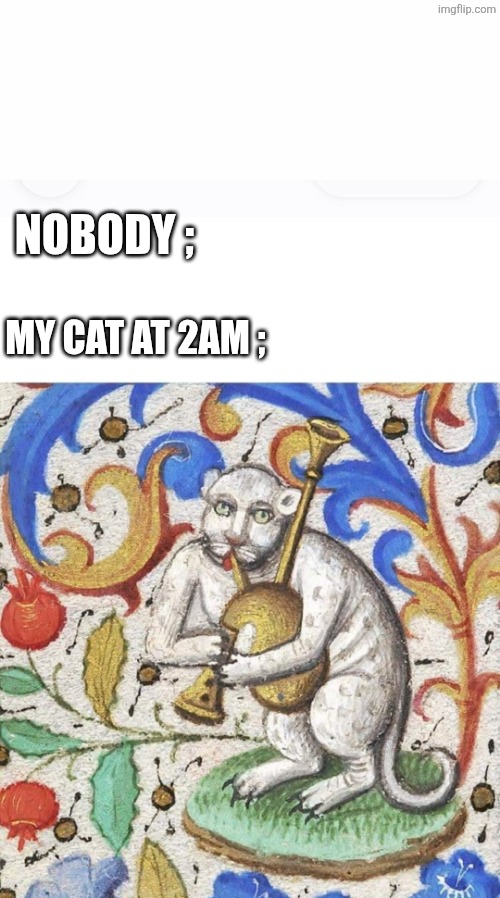 Nobody ;; My cat at 2am ; | image tagged in screenshot_20260617_004044_gallery jpg,funny cat memes | made w/ Imgflip meme maker
