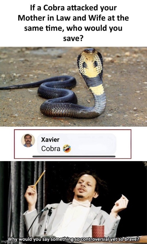 Xavier does it again | image tagged in img_4291 jpeg,why would you say something so controversial yet so brave,wife,mother in law,cobra,save me | made w/ Imgflip meme maker