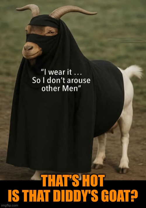 Funny | That's hot
Is that Diddy's goat? | image tagged in funny,politics,diddy,goat,hot,fashion | made w/ Imgflip meme maker