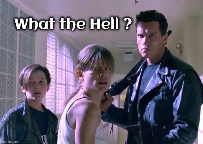 Terminator what ? | What the Hell ? | image tagged in terminator what | made w/ Imgflip meme maker
