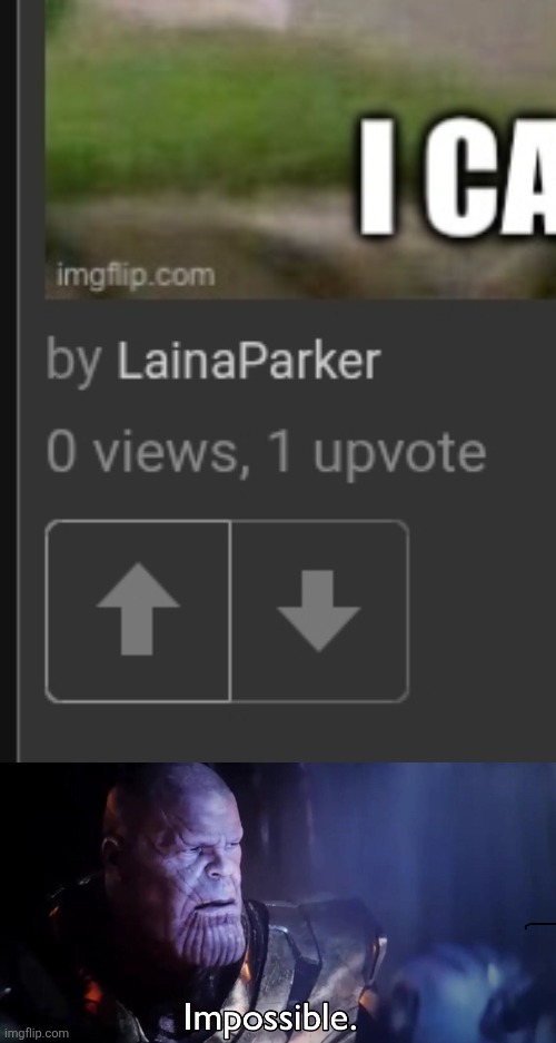 image tagged in thanos impossible | made w/ Imgflip meme maker
