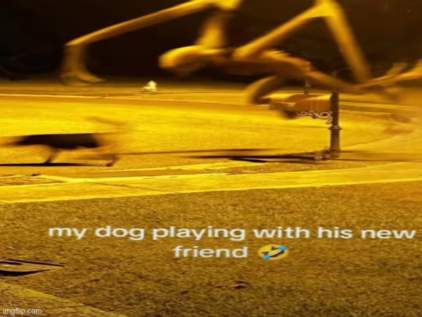 image tagged in memes,msmg | made w/ Imgflip meme maker
