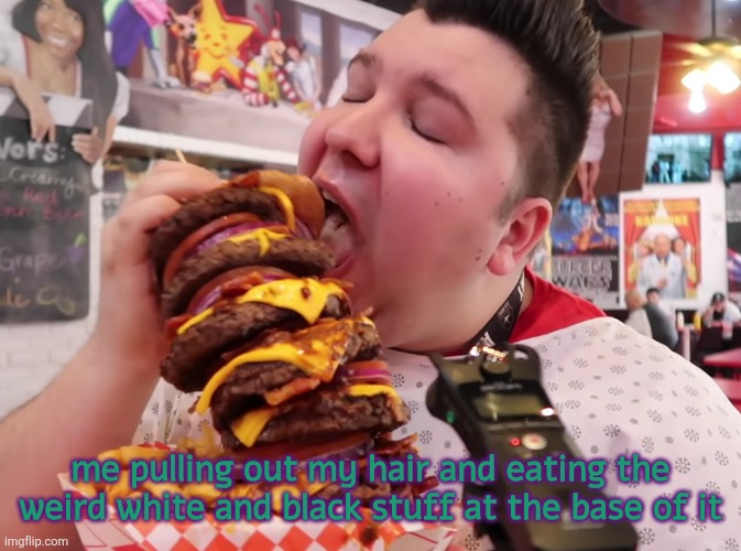 . | me pulling out my hair and eating the weird white and black stuff at the base of it | image tagged in nikocado eats big burger | made w/ Imgflip meme maker