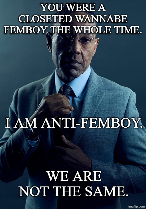Gus Fring we are not the same | You were a closeted wannabe femboy the whole time. I am anti-femboy. We are not the same. | image tagged in gus fring we are not the same | made w/ Imgflip meme maker