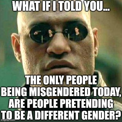 Take those stupid he/him and she/her labels off your resume and your work email! | What if I told you... The only people being misgendered today, are people pretending to be a different gender? | image tagged in what if i told you,gender identity,good idea/bad idea,liberal logic,i'm tired of pretending it's not,sanity | made w/ Imgflip meme maker