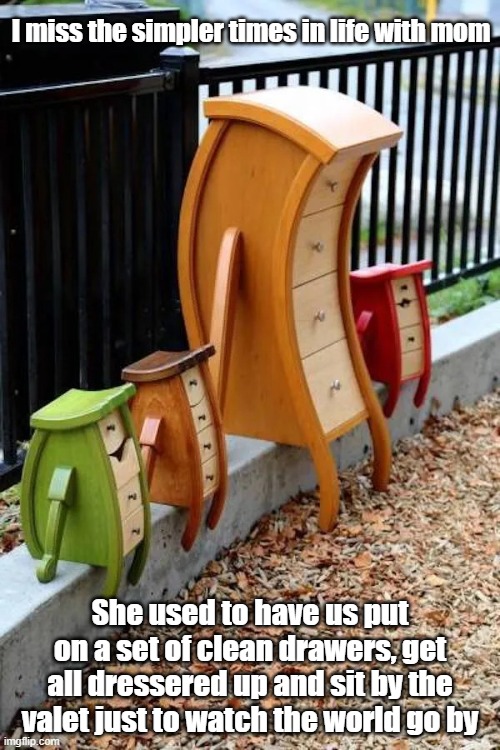 Miss Mom | I miss the simpler times in life with mom; She used to have us put on a set of clean drawers, get all dressered up and sit by the valet just to watch the world go by | image tagged in mom,family,the good old days,crossdresser | made w/ Imgflip meme maker