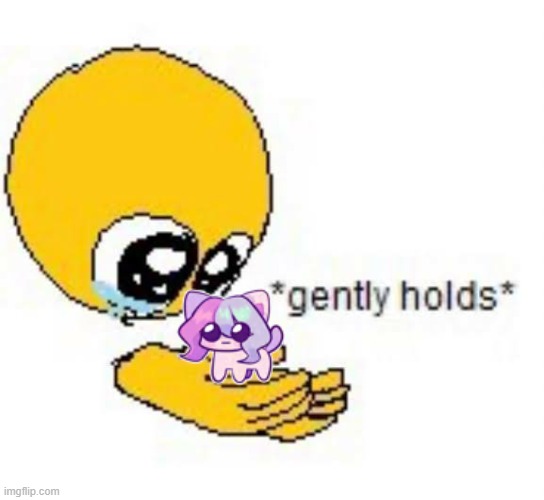 UwU | image tagged in gently holds emoji,memes,cat sashley,cat | made w/ Imgflip meme maker