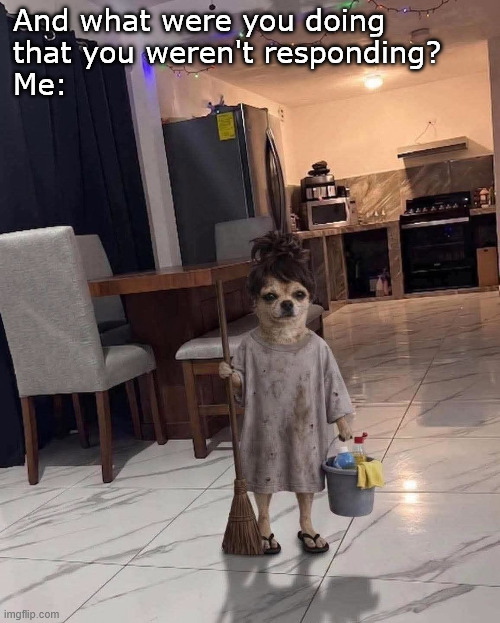 And what were you doing that you weren't responding? | And what were you doing 
that you weren't responding?
Me: | image tagged in funny,memes,funny memes | made w/ Imgflip meme maker