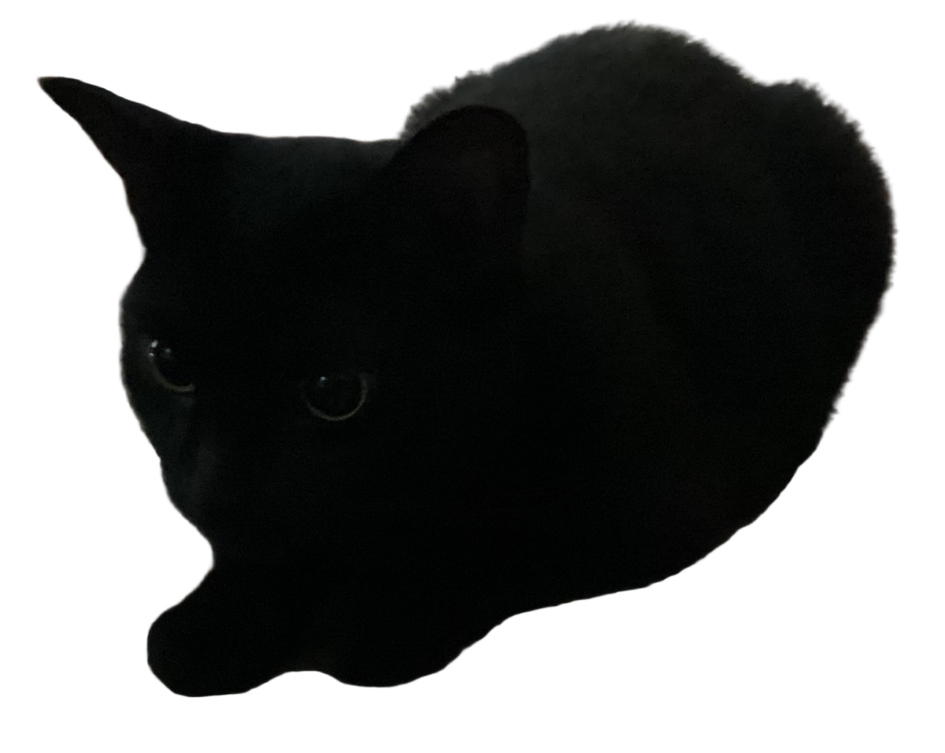 No background Kitty :3 Blank Meme Template