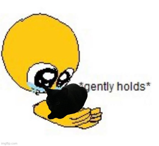 Hold Kitty :3 | image tagged in cat | made w/ Imgflip meme maker