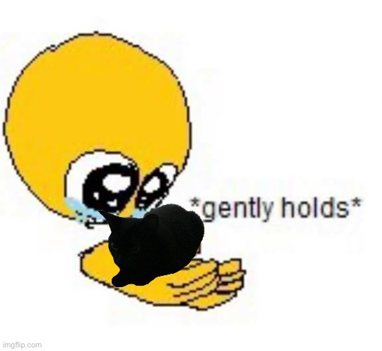 Hold Kitty :3 | image tagged in cat | made w/ Imgflip meme maker