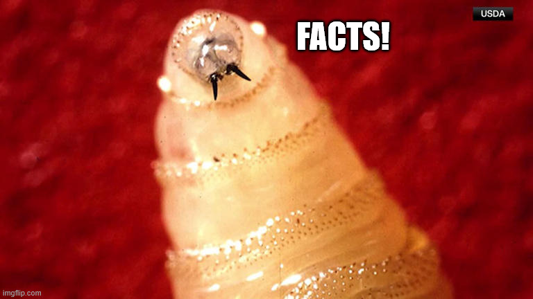 Facts! | made w/ Imgflip meme maker