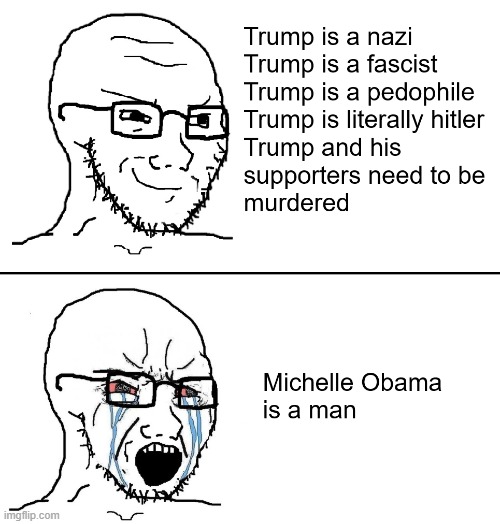 They can dish it out, but they can't take it. | image tagged in dnc,liberal hypocrisy,leftists,soyjak | made w/ Imgflip meme maker