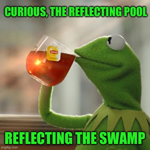 But That's None Of My Business Meme | Curious, the reflecting pool; Reflecting the swamp | image tagged in memes,but that's none of my business,kermit the frog | made w/ Imgflip meme maker