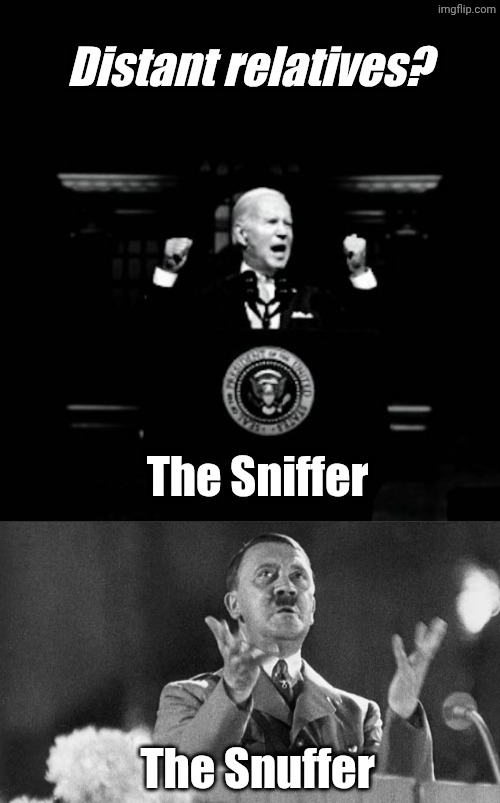Inspired by a poop and diaper lover. IYKYK. | Distant relatives? The Sniffer; The Snuffer | made w/ Imgflip meme maker