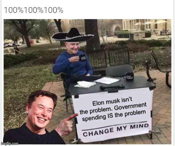 Don't depend on standard templates. Punch em up with Pngs. | image tagged in screenshot_20260617_000152_chrome jpg,elon musk,chuck schumer | made w/ Imgflip meme maker
