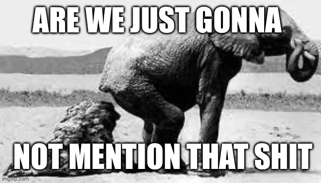 Elephant in the room | Are we just gonna Not mention that shit | image tagged in elephant poopy,elephant,shit | made w/ Imgflip meme maker