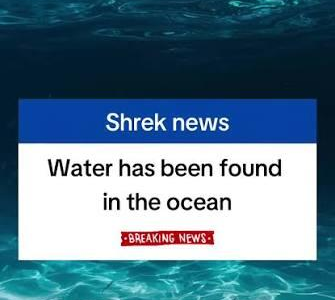 Shkrek news Blank Meme Template