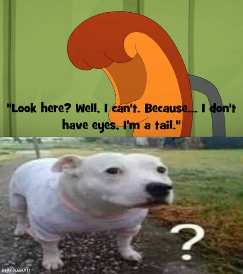 I don't get it... | image tagged in dog question mark,kiff,bruh,huh,huh dog,confused | made w/ Imgflip meme maker