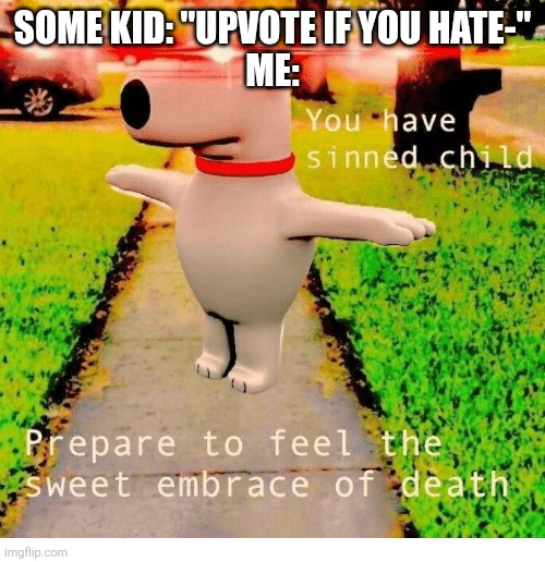 You have sinned child prepare to feel the sweet embrace of death | Some kid: "Upvote if you hate-"
Me: | image tagged in memes,funny,brian,upvote beggars,stop upvote begging,you should kill yourself now | made w/ Imgflip meme maker