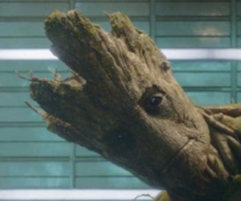 High Quality groot Blank Meme Template