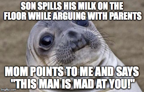 Awkward Moment Sealion | SON SPILLS HIS MILK ON THE FLOOR WHILE ARGUING WITH PARENTS MOM POINTS TO ME AND SAYS "THIS MAN IS MAD AT YOU!" | image tagged in memes,awkward moment sealion,AdviceAnimals | made w/ Imgflip meme maker