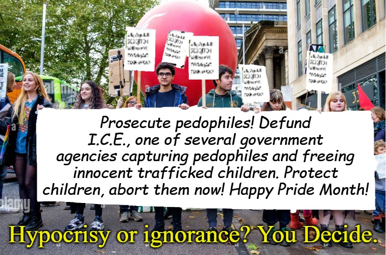 Even if there is no logic, at least we are angry about something. We demand that tyrants get it right this time! | Prosecute pedophiles! Defund I.C.E., one of several government agencies capturing pedophiles and freeing innocent trafficked children. Protect children, abort them now! Happy Pride Month! Hypocrisy or ignorance? You Decide. | image tagged in wide blank protest banner | made w/ Imgflip meme maker