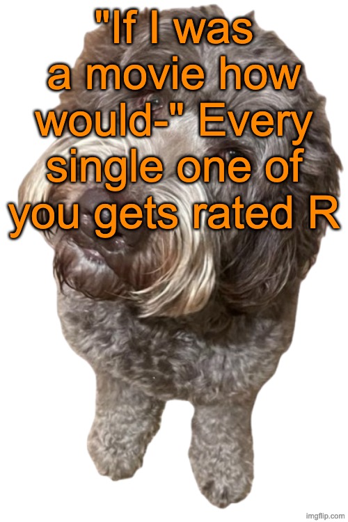 Apart from a few individuals who get rated NC-17 | "If I was a movie how would-" Every single one of you gets rated R | image tagged in northers dog transparent | made w/ Imgflip meme maker