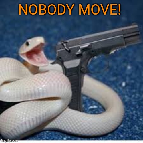 snake got gun | Nobody move! | image tagged in snake got gun | made w/ Imgflip meme maker