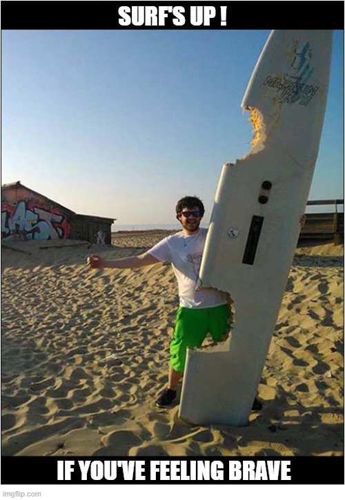 You'll Never Go In The Water Again ! | Surf's Up ! If You've Feeling Brave | image tagged in surfing,surf board,shark,bites | made w/ Imgflip meme maker