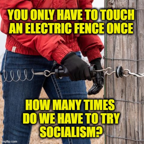 Rural wisdom | You only have to touch 
an electric fence once; How many times 
do we have to try
socialism? | image tagged in socialism | made w/ Imgflip meme maker