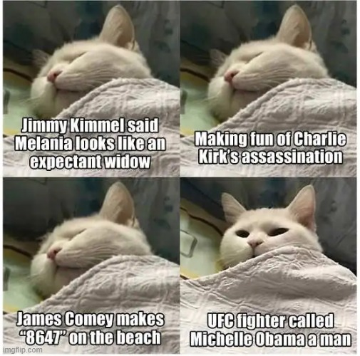 Democrats--A Strange Breed of Cat | image tagged in morals,values,behavior,perspective,mental health,democrats | made w/ Imgflip meme maker