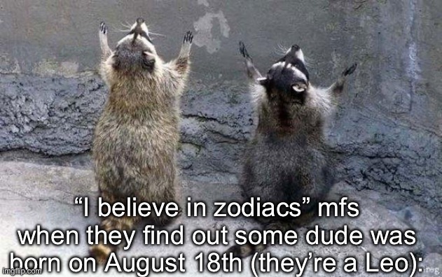 It’s always them Leos | “I believe in zodiacs” mfs when they find out some dude was born on August 18th (they’re a Leo): | image tagged in raccoon worshipping,funny | made w/ Imgflip meme maker