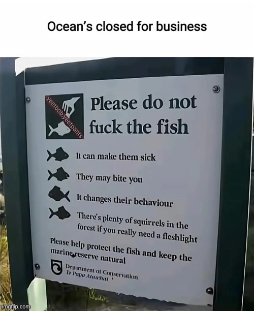 Say what now? | image tagged in dont,fuck,the,fish,it isnt good for them | made w/ Imgflip meme maker