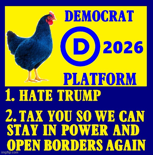 Democrat Platform 2026: TDS | image tagged in vince vance,democrat,platform,party of hate,hate trump,open borders | made w/ Imgflip meme maker