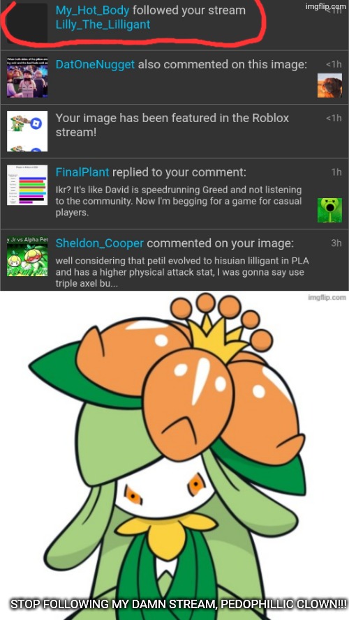 Another fucking Jeffery alt... | STOP FOLLOWING MY DAMN STREAM, PEDOPHILLIC CLOWN!!! | image tagged in enraged lilly | made w/ Imgflip meme maker