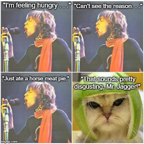 Rolling Stones Bitch | "I'm feeling hungry . . ."; "Can't see the reason. . ."; "Just ate a horse meat pie."; "That sounds pretty disgusting, Mr. Jagger!" | image tagged in rolling stones,mick jagger,bitch,cat in lime helmet,funny meme | made w/ Imgflip meme maker