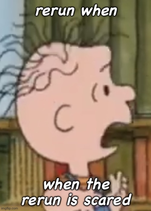 when the | rerun when; when the rerun is scared | image tagged in rerun van pelt | made w/ Imgflip meme maker