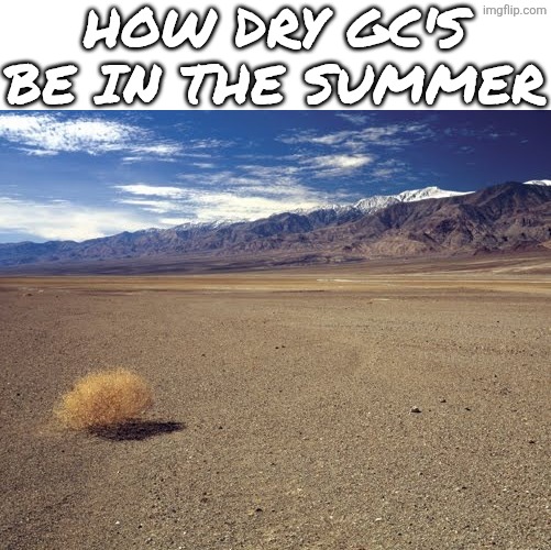 Like shouldn't it be the opposite | How dry gc's be in the summer | image tagged in desert tumbleweed,gc,group chats,school,summer,lol so funny | made w/ Imgflip meme maker
