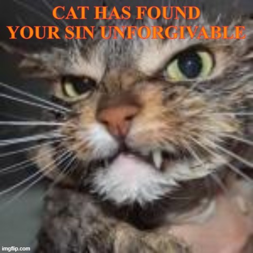 Cat has found your sin unforgivable | image tagged in cat has found your sin unforgivable | made w/ Imgflip meme maker