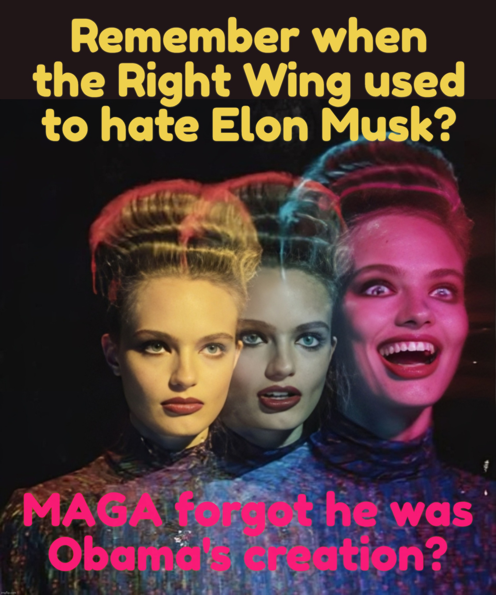 Hardy har har II | Remember when the Right Wing used to hate Elon Musk? MAGA forgot he was
Obama's creation? | image tagged in hardy har har ii | made w/ Imgflip meme maker