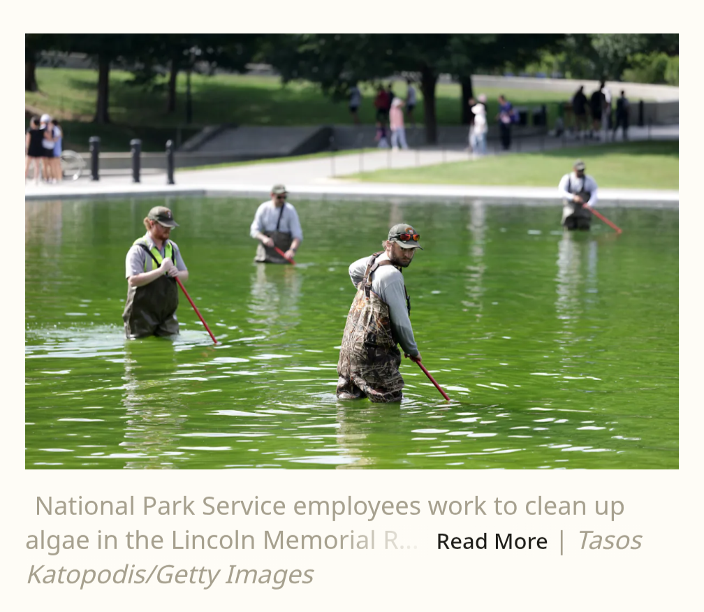 MAGA Reflecting pool algae cleanup Blank Meme Template