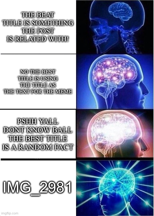 I cant reply back to yall i got comment ban | The beat title is something the post is related with! No the best title is using the title as the text for the meme; Pshh yall dont know ball the best title is a random fact; IMG_2981 | image tagged in memes,expanding brain | made w/ Imgflip meme maker