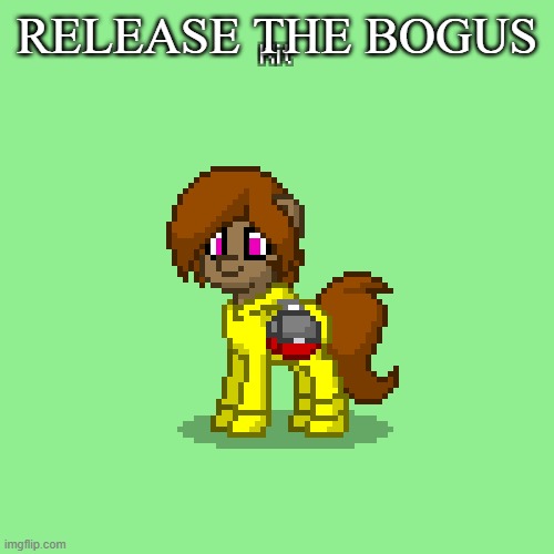 Kit in Pony Town (updated version) | RELEASE THE BOGUS | image tagged in kit in pony town updated version | made w/ Imgflip meme maker