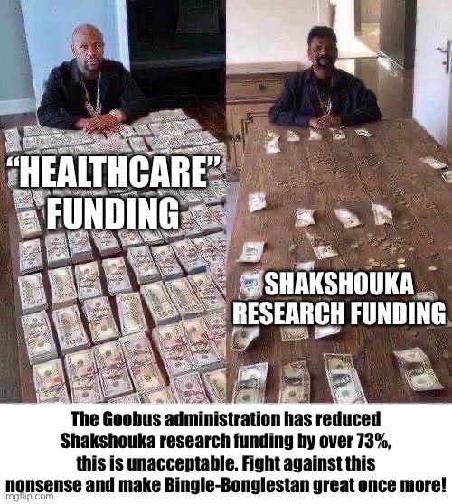 Floyd Mayweather Before After | “Healthcare” funding; Shakshouka research funding; The Goobus administration has reduced Shakshouka research funding by over 73%, this is unacceptable. Fight against this nonsense and make Bingle-Bonglestan great once more! | image tagged in floyd mayweather before after | made w/ Imgflip meme maker