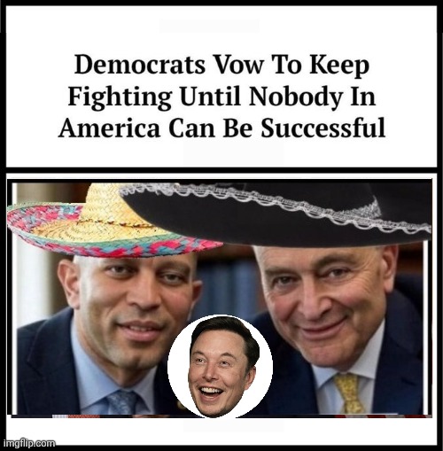 Demorhhoids vow to destroy working people | image tagged in img 40 jpeg,chuck schumer,elon musk | made w/ Imgflip meme maker